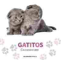 2015. CALENDARIO GATITOS