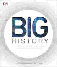 BIG HISTORY. UN VIAJE DESDE EL ORIGEN DEL TIEMPO HASTA LA REVOLUCIÓN DIGITAL