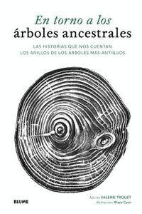 EN TORNO A LOS ÁRBOLES ANCESTRALES