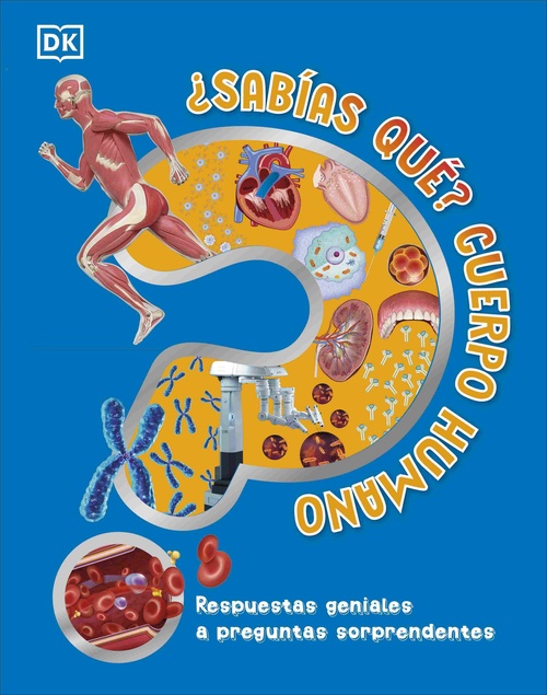 CUERPO HUMANO. ¿SABÍAS QUÉ?