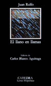 LLANO EN LLAMAS, EL