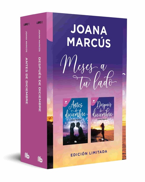 ANTES DE DICIEMBRE/ DESPUES DE DICIEMBRE. MESES A TU LADO. LIBROS 1 Y 2
