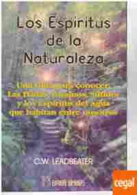 DICCIONARIO DE CIENCIAS OCULTAS (TELA)