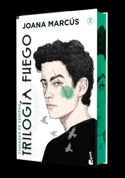 CIUDADES DE CENIZAS. TRILOGIA FUEGO, 2. CANTOS DECORADOS