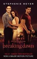 4. BREAKING DAWN