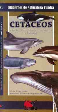 CETACEOS
