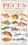 PECES DE ESPAÑA Y EUROPA. GUIA DE IDENTIFICACION
