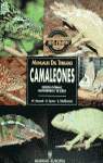 CAMALEONES (MANUALES DEL TERRARIO)