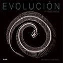EVOLUCION