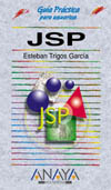 JSP. GUIA PRACTICA PARA USUARIOS (+ CD-ROM)