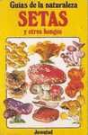 SETAS Y OTROS HONGOS
