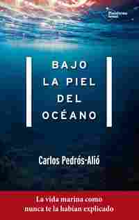 BAJO LA PIEL DEL OCEANO