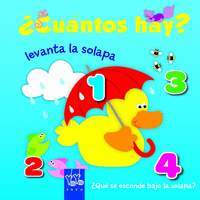 ¿CUÁNTOS HAY?. LEVANTA LA SOLAPA