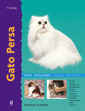 GATO PERSA