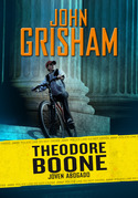 1. JOVEN ABOGADO.THEODORE BOONE