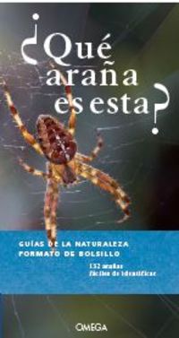 ¿QUE ARAÑA ES ESTA?.