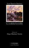 REALIDAD INVISIBLE