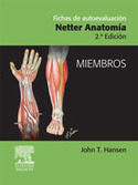 (2º) FICHAS DE AUTOEVALUACION NETTER ANATOMIA; TRONCO