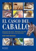 CASCO DEL CABALLO