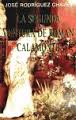 LA SEGUNDA VENTURA DE ROMAN CALAMONTE