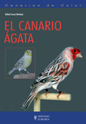 CANARIO AGATA, EL