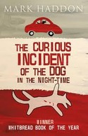 THE CURIOUS INCIDENT OF THE DOG IN THE NIGHT TIME