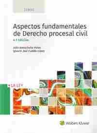 (4º) ASPECTOS FUNDAMENTALES DE DERECHO PROCESAL CIVIL,