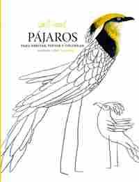 PAJAROS PARA DIBUJAR, PINTAR Y COLOREAR