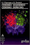 CEREBRO IZQUIERDO, CEREBRO DERECHO