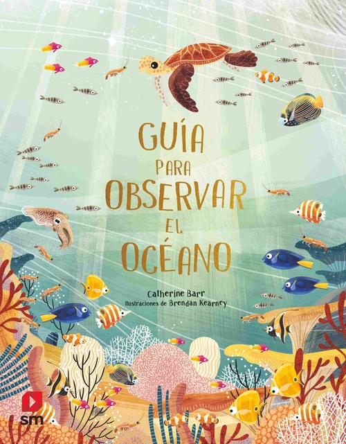 GUÍA PARA OBSERVAR EL OCÉANO
