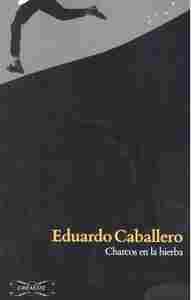 CHARCOS EN LA HIERBA