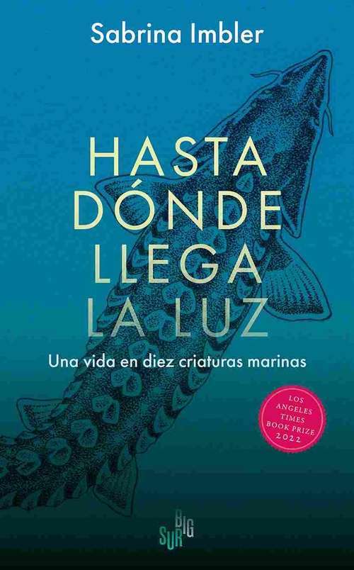 HASTA DONDE LLEGA LA LUZ