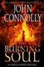 THE BURNING SOUL