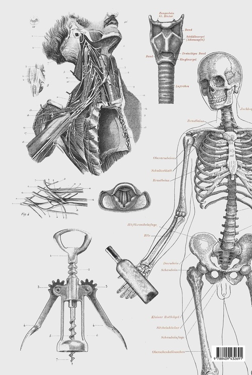 VINOS. EL ANÁLISIS SENSORIAL DEL VINO, VI. BULLIPEDIA