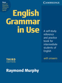 ENGLISH GRAMMAR IN USE (SIN CD)