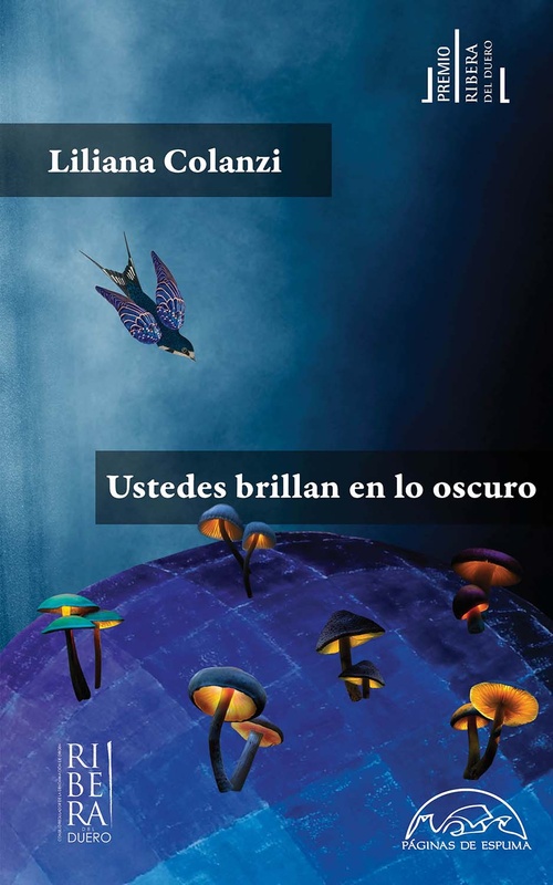 USTEDES BRILLAN EN LO OSCURO (VII PREMIO RIBERA DEL DUERO)