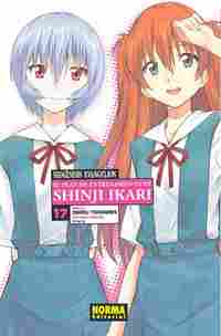 NEOGÉNESIS EVANGELION: EL PLAN DE ENTRENAMIENTO DE SHINJI IKARI 17.