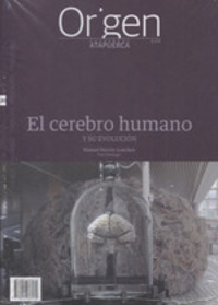 ORIGEN 20.EL CEREBRO HUMANO Y SU EVOLUCION