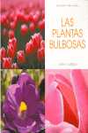 PLANTAS BULBOSAS, LAS. CULTIVO Y CUIDADOS