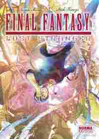 3. FINAL FANTASY LOST STRANGER
