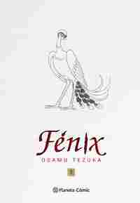 FÉNIX 1. AMANECER