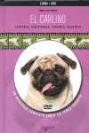 EL CARLINO, (LIBRO+DVD)