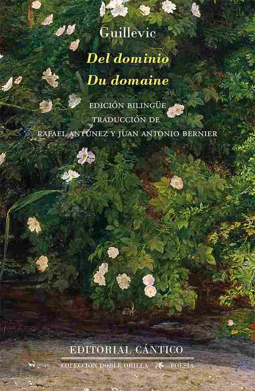 DEL DOMINIO (N.E.)
