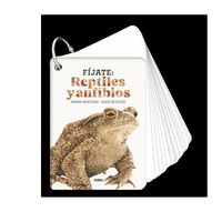 FÍJATE: REPTILES Y ANFIBIOS