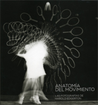 ANATOMIA DEL MOVIMIENTO