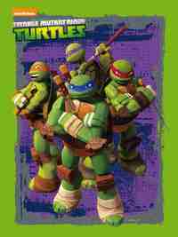 LAS TORTUGAS NINJA. CAJA METÁLICA