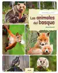 LOS ANIMALES DEL BOSQUE. DESCUBRIENDO EL MUNDO