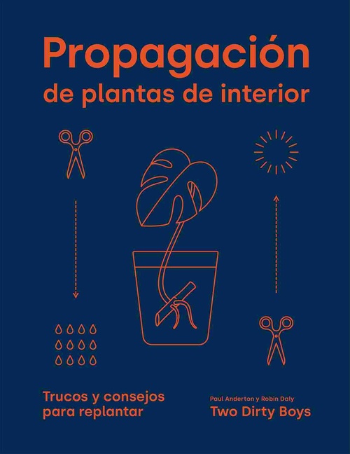 PROPAGACION DE PLANTAS DE INTERIOR. TRUCOS Y CONSEJOS PARA REPLANTAR