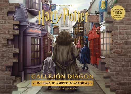 CALLEJÓN DIAGON. HARRY POTTER