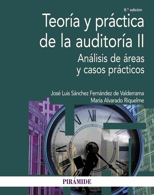 TEORÍA Y PRÁCTICA DE LA AUDITORÍA II. ANÁLISIS DE ÁREAS Y CASOS PRÁCTICOS